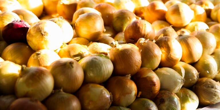 inflacao-acumulada-dos-alimentos-e-a-menor-desde-setembro-de-2024