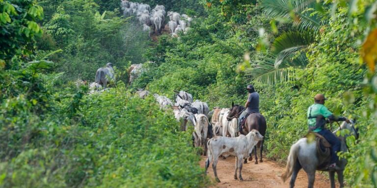 atividade-economica-brasileira-cresce-2,5%-em-2025